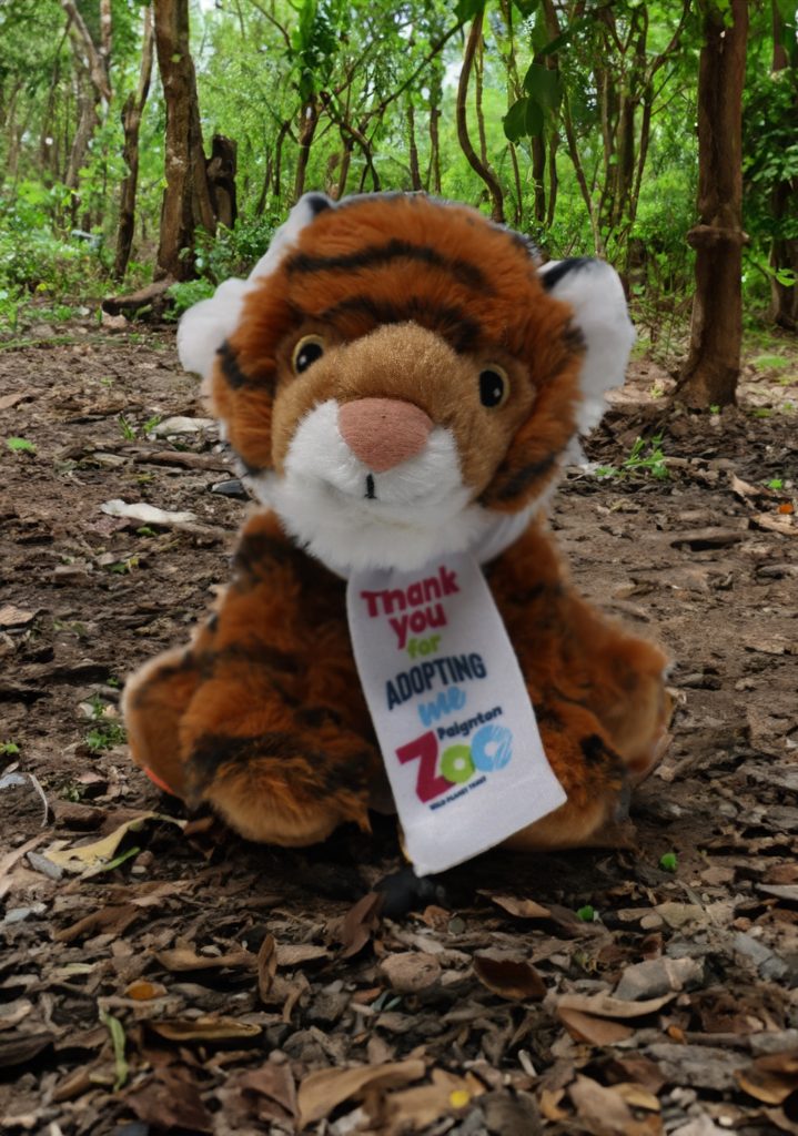 tiger toy 2
