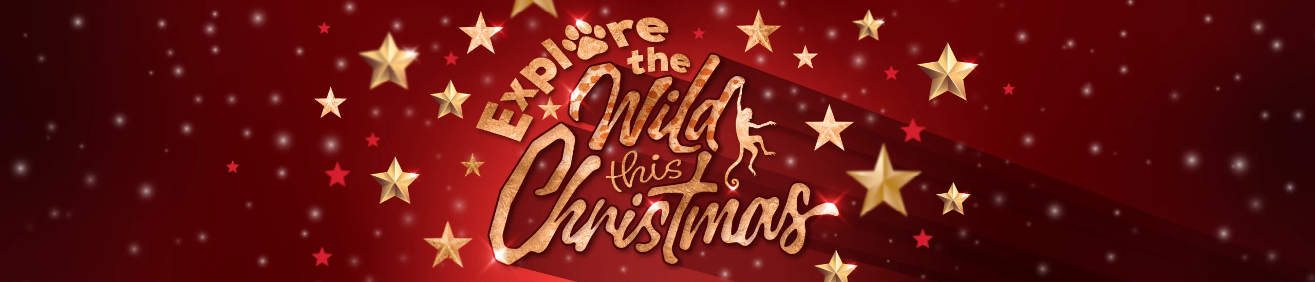 Christmas 2025 Web Banner scaled