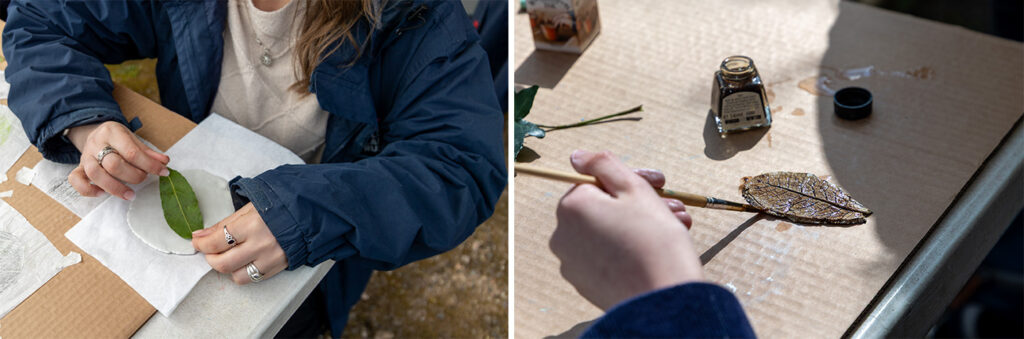NooN Collage 2
