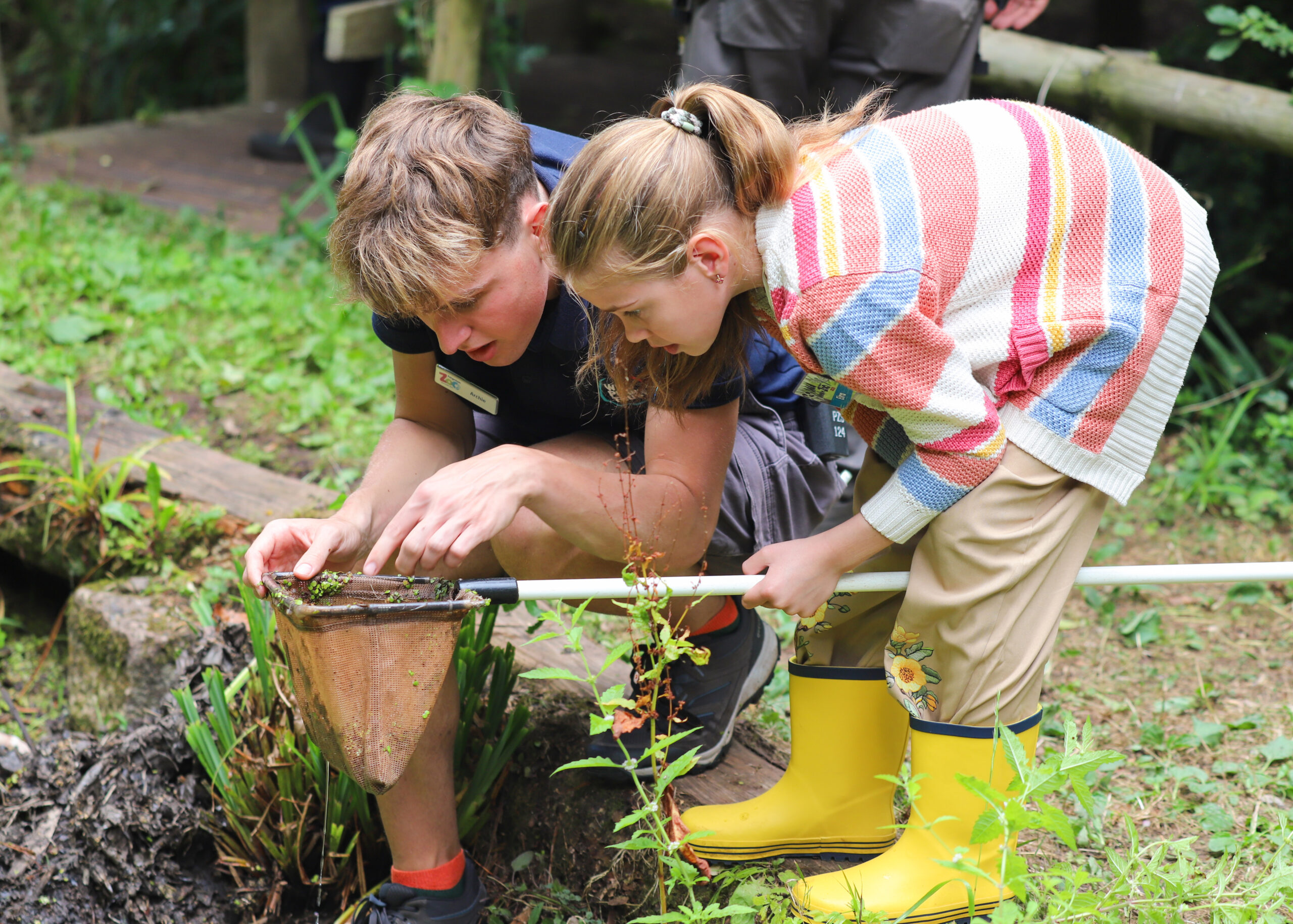 250815 Paignton Zoo Wild Week Pond Dipping BC HR 12 scaled