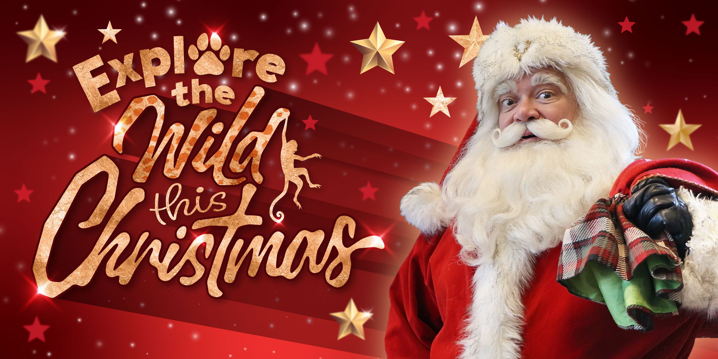 Paignton Zoo Christmas Slider Desktop Background 1