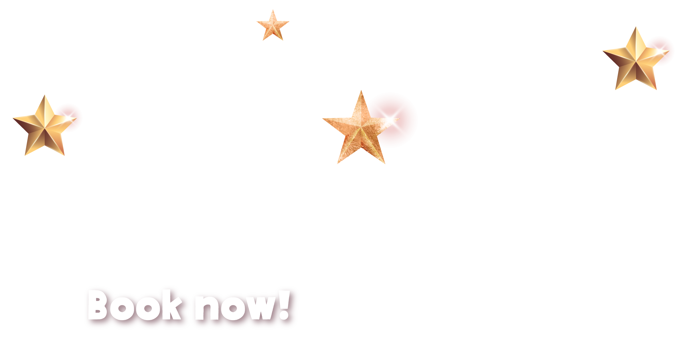 Paignton Zoo Christmas Slider Desktop Overlay 1