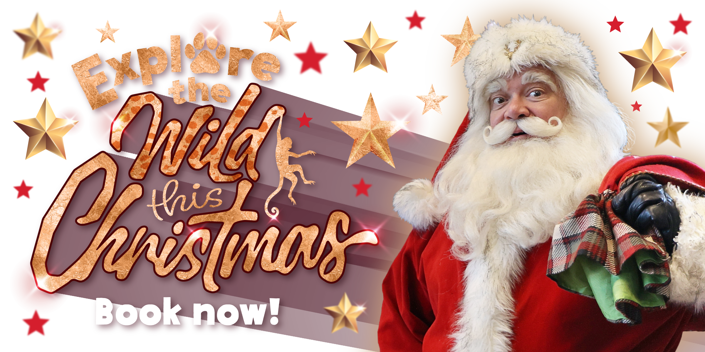 Paignton Zoo Christmas Slider Desktop Overlay