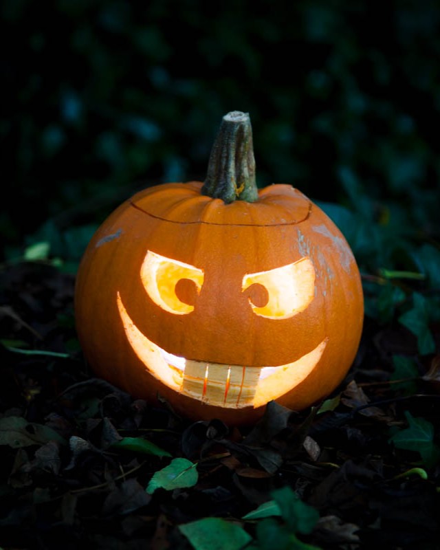 Pumpkins 15 Copy