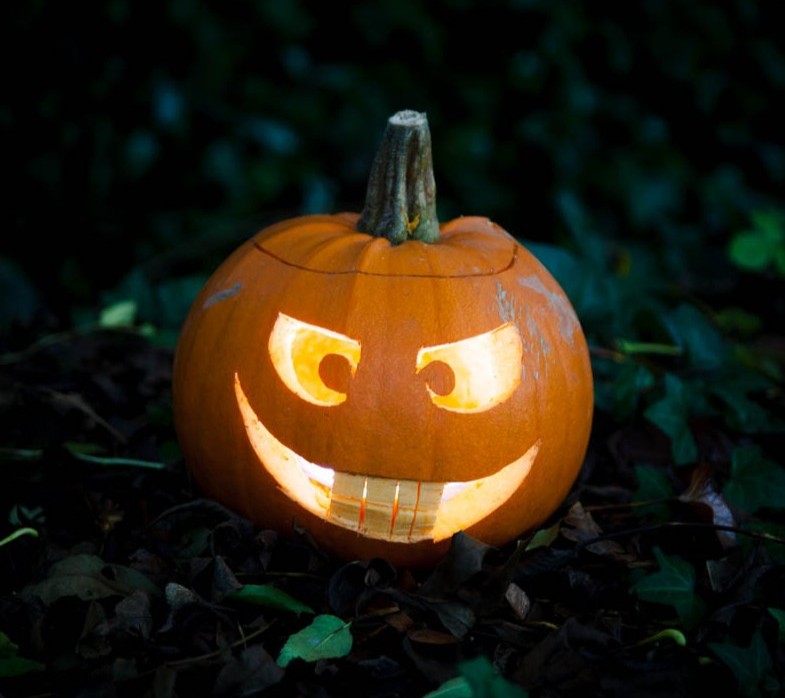 Paignton Zoo Halloween photograph, showing a carved pumpkin lit up in the woods.