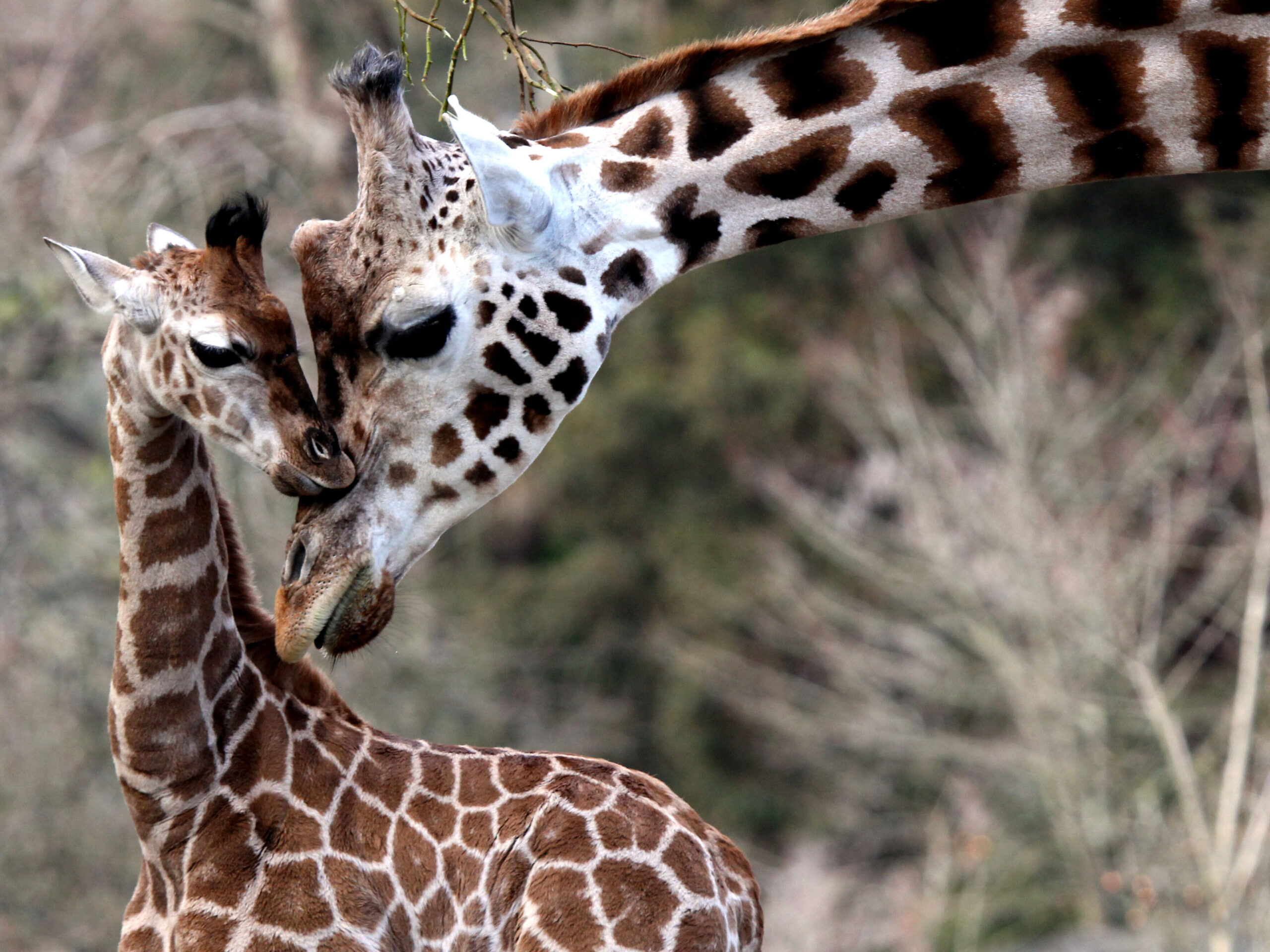 2015 03 Eliska and Janica by Owen Taylor edited scaled
