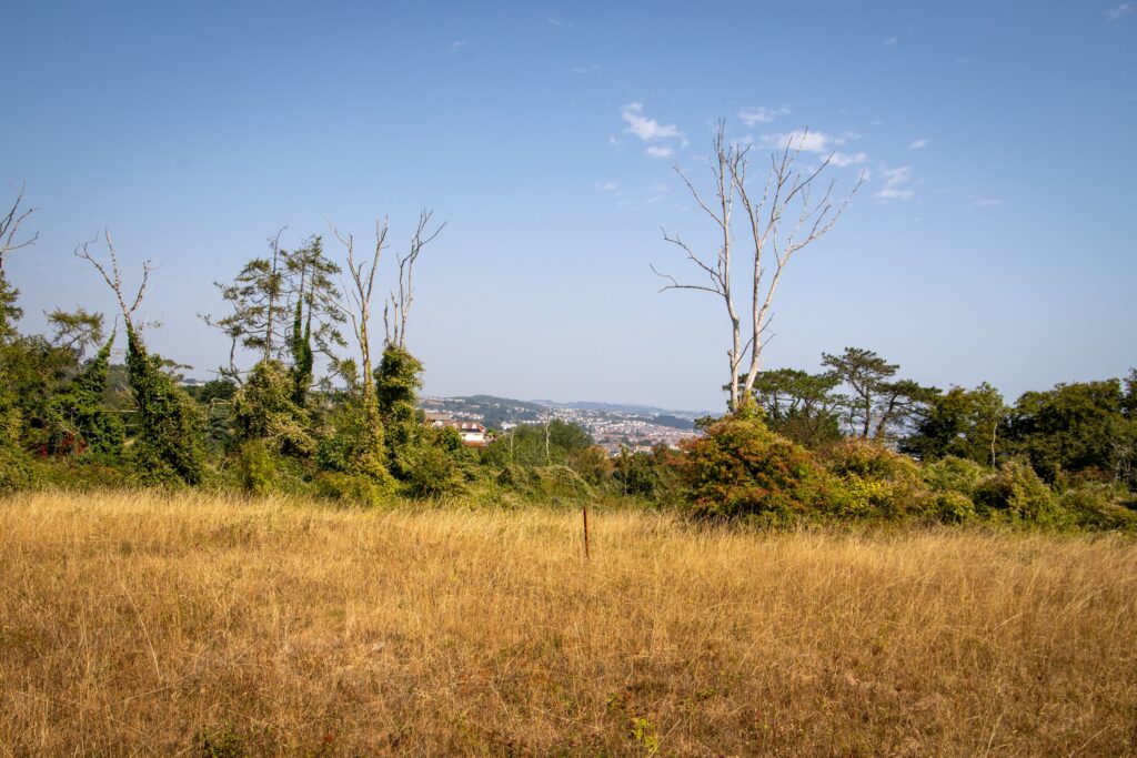 250812 Paignton Zoo Clennon Gorge Limestone Grassland Summer Farah Adaci 43