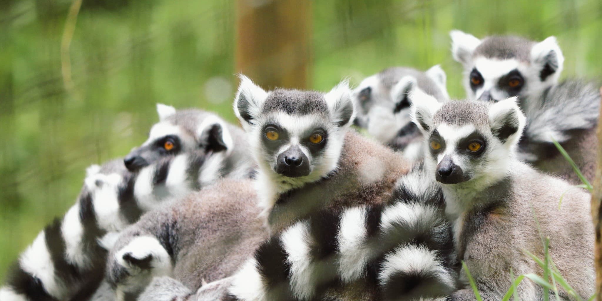 487249251 1091424503020746 1109295956561527039 n Copy